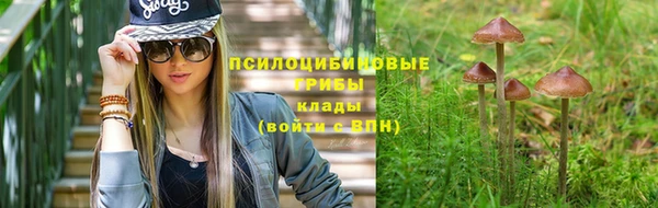 apvp Бронницы
